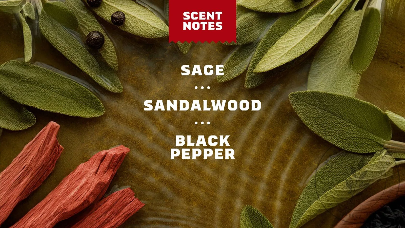 Dr. Squatch Sandalwood Summit Natural Odor Squatching Spray Deodorant 8 Dr. Squatch Sandalwood Summit Natural Odor Squatching Spray Deodorant